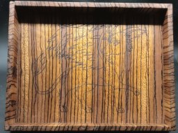 Zebra Wood